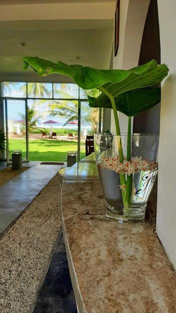 Akurala Beach Boutique Resort Exterior photo